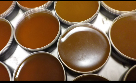 CBD Spruce Resin Salve